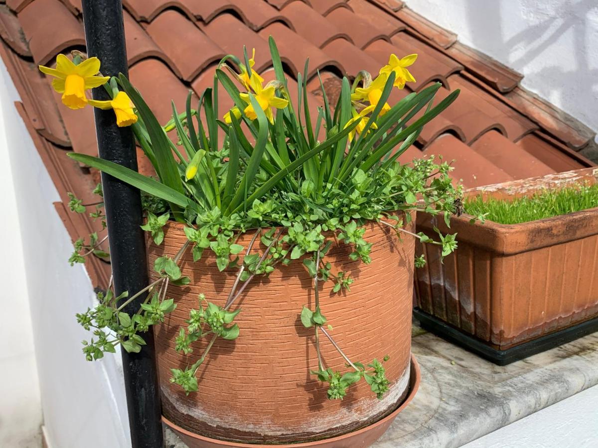 Rooftop Terrace Domus Dei Fabbri Velence Kültér fotó